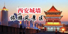 男人的鸡插到女人的逼里网站中国陕西-西安城墙旅游风景区
